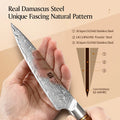 XINZUO 1 to 8-Piece Kitchen Knife Set - 73-Layer Custom Damascus Steel